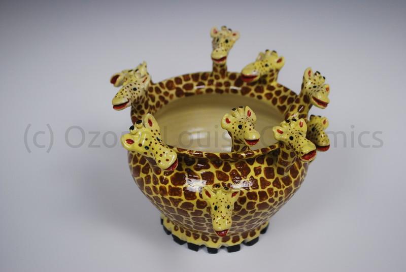 [Giraffe Herd]